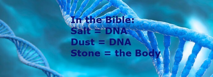 What is salt, dust, and stone in the Bible