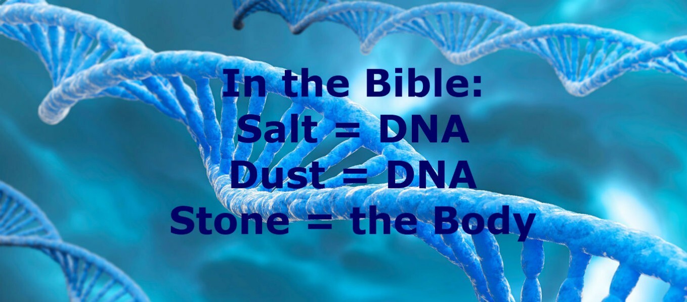 Picture of DNA which is Salt and Dust in the Bible